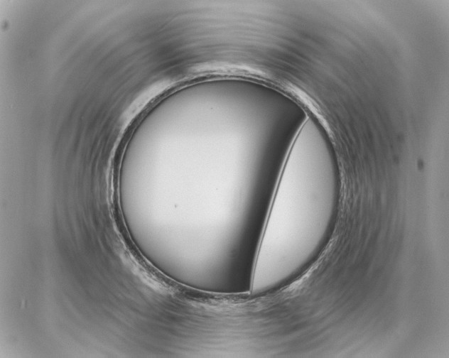 X0000086981082200704161121