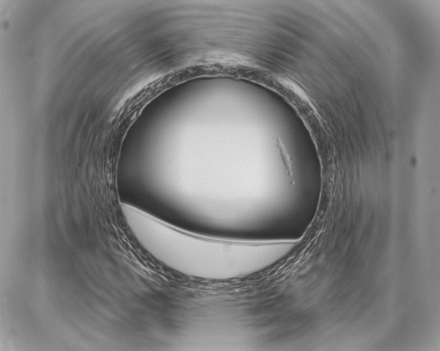 X0000086981112200704161120