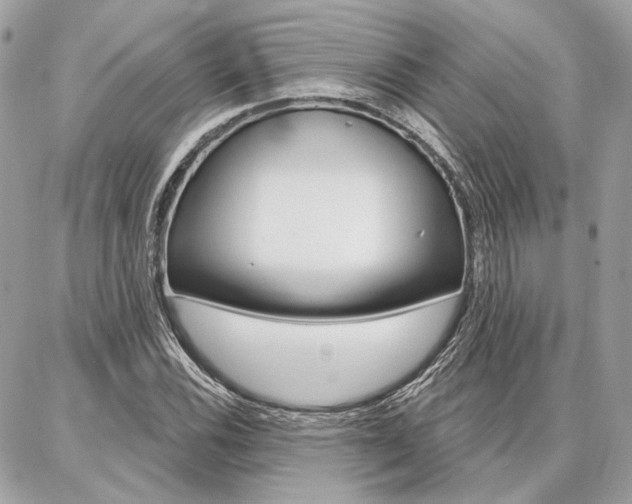 X0000086981116200704161120