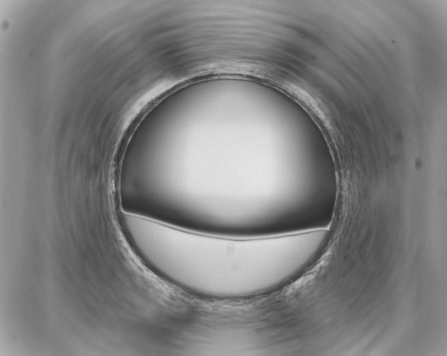 X0000086981133200704161121