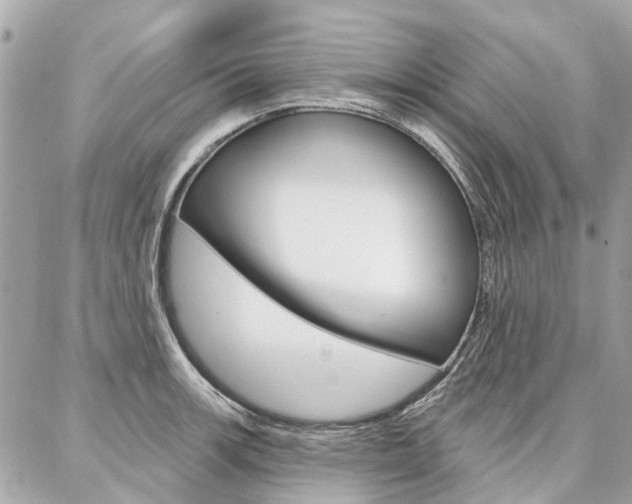 X0000086981139200704161121