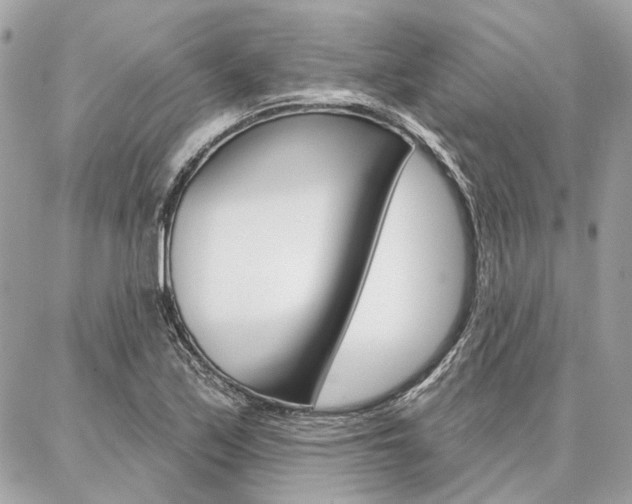 X0000086981171200704161120