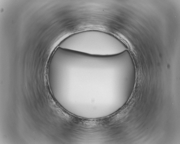 X0000086981182200704161120