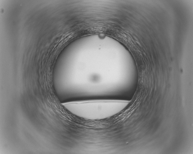 X0000086981201200704161118