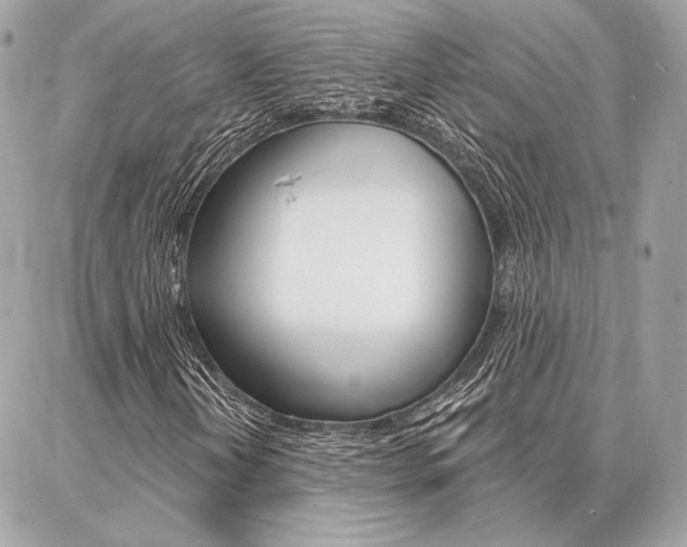 X0000086981202200704161118