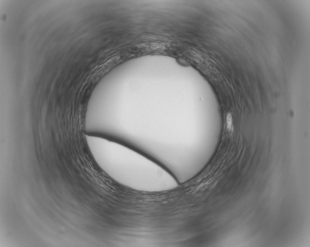 X0000086981203200704161119