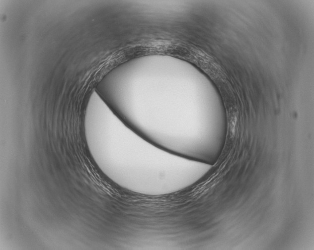 X0000086981204200704161119