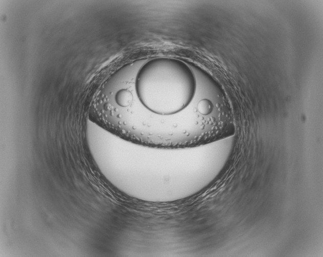 X0000086981205200704161119