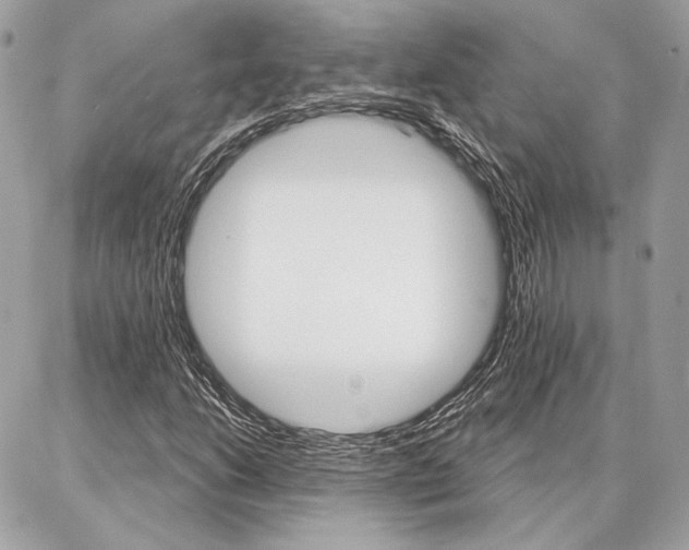 X0000086981206200704161119