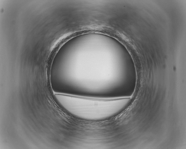 X0000086981214200704161119