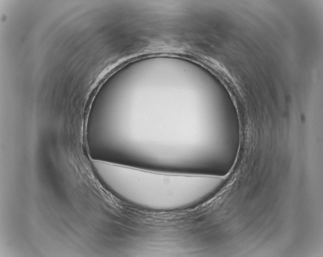 X0000086981220200704161119