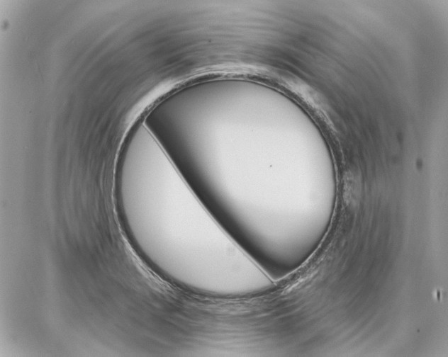 X0000086981229200704161119