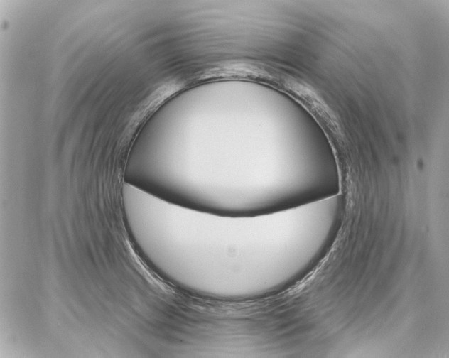 X0000086981233200704161119