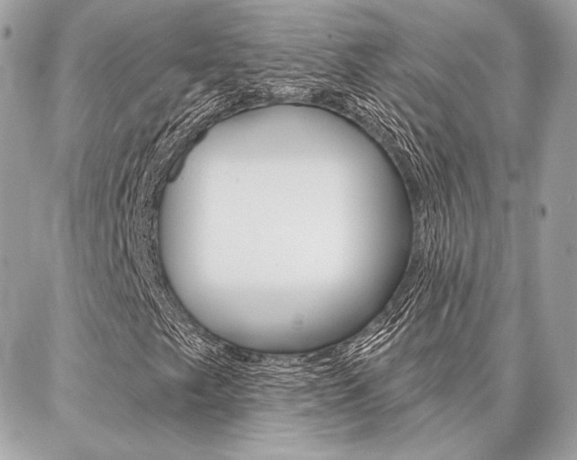 X0000086981249200704161118