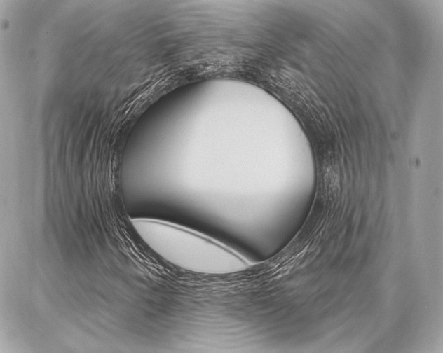 X0000086981250200704161118