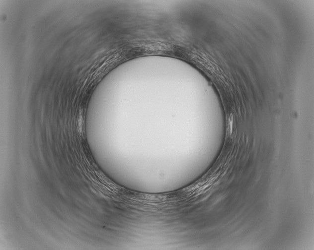 X0000086981251200704161118