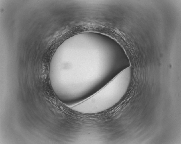 X0000086981253200704161118