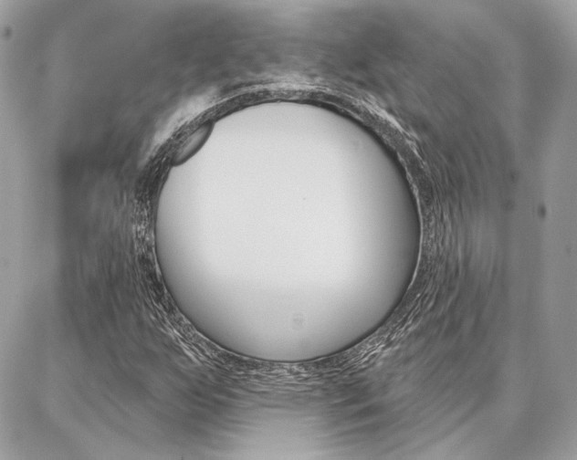 X0000086981255200704161118