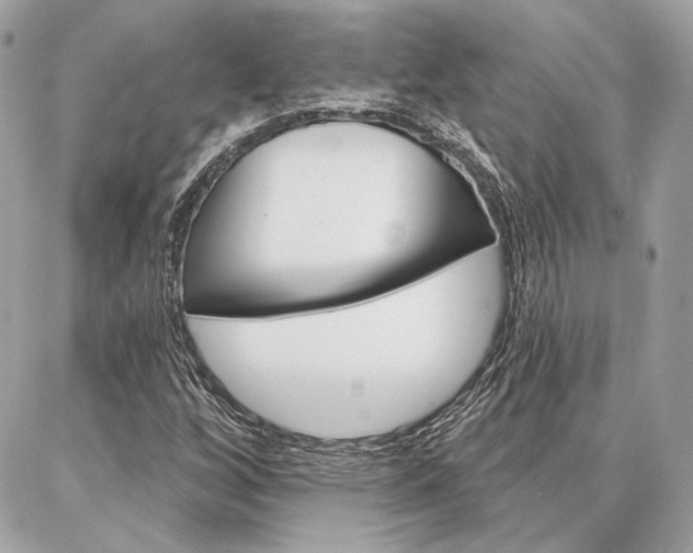 X0000086981256200704161118