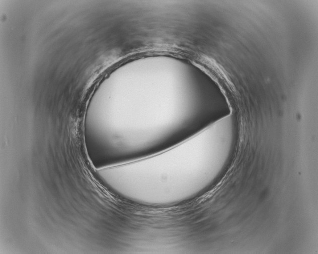 X0000086981260200704161118