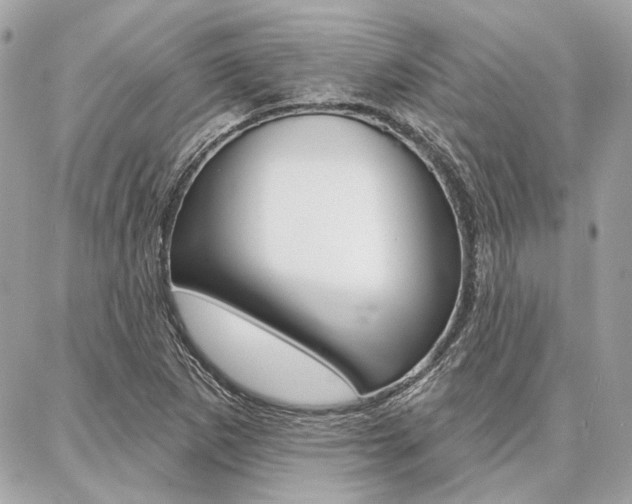 X0000086981265200704161118