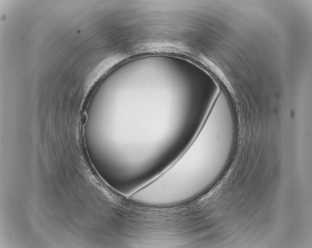 X0000086981277200704161118