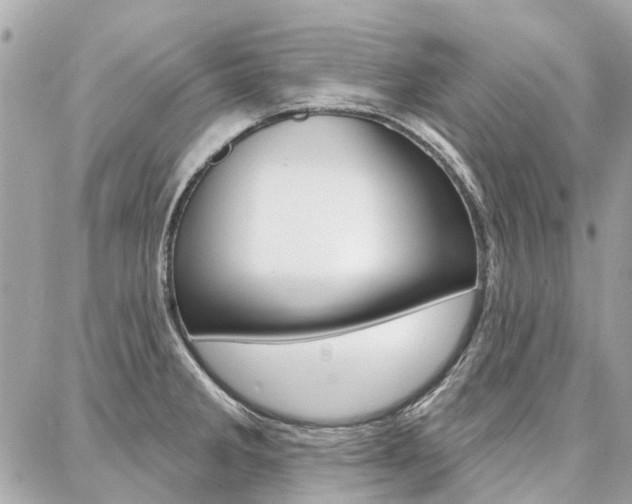 X0000086981285200704161118