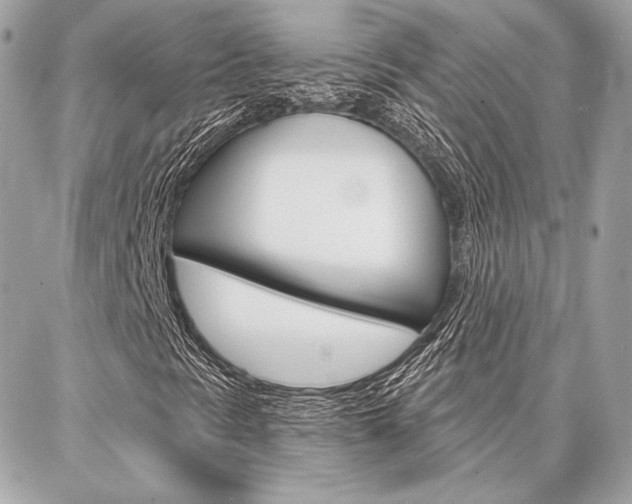 X0000086981297200704161117