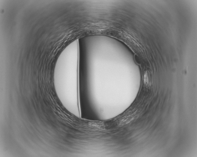 X0000086981299200704161117