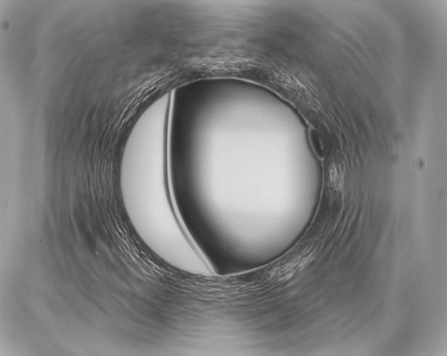 X0000086981300200704161117