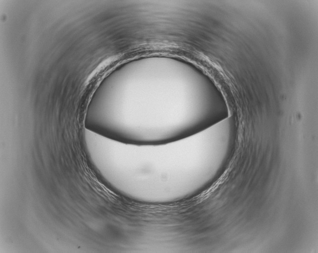 X0000086981306200704161117