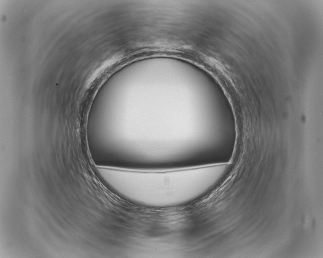 X0000086981307200704161117