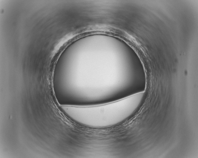 X0000086981312200704161117