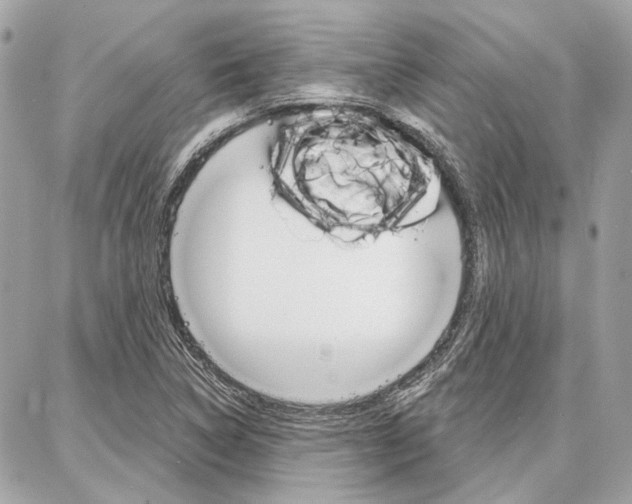 X0000086981314200704161117