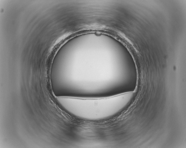 X0000086981315200704161117