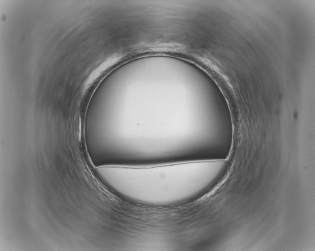 X0000086981317200704161117