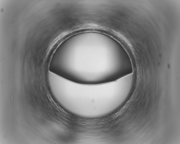 X0000086981318200704161117