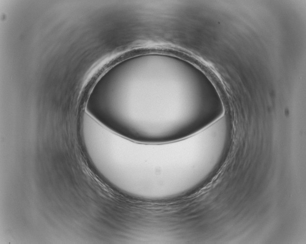 X0000086981319200704161117