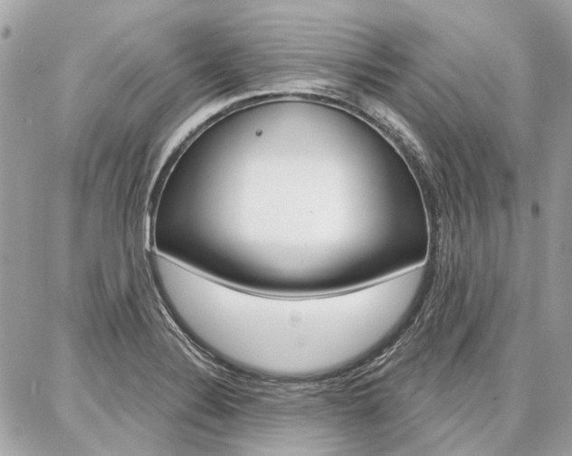 X0000086981324200704161117
