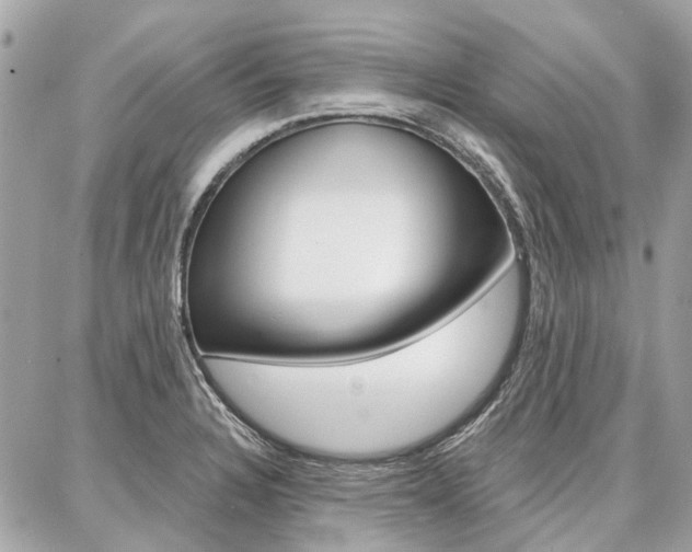 X0000086981328200704161117