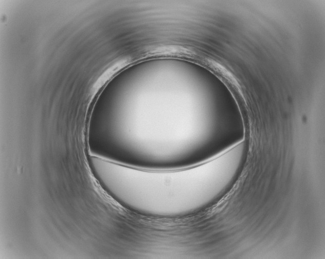X0000086981330200704161117