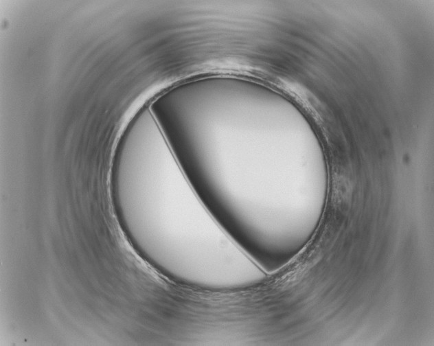 X0000086981331200704161117