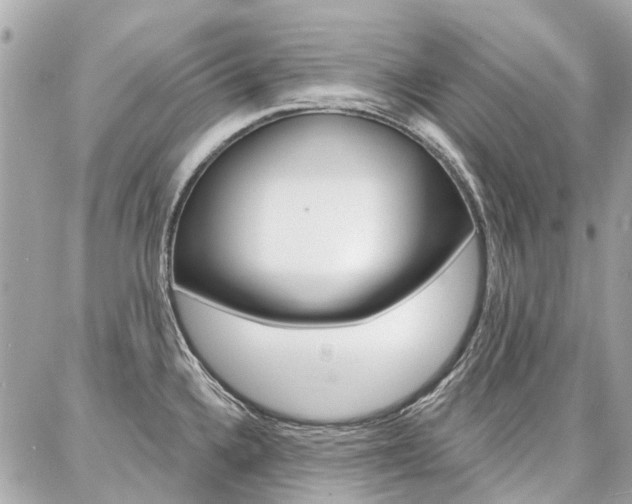 X0000086981336200704161118