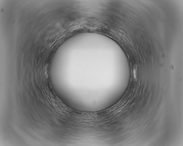 X0000086981347200704161117