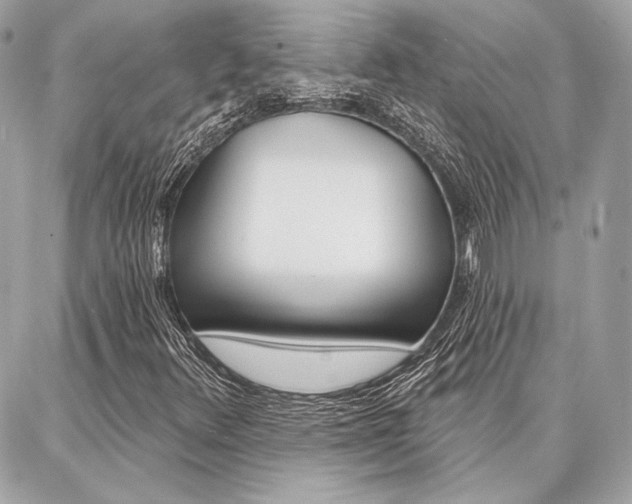 X0000086981348200704161117