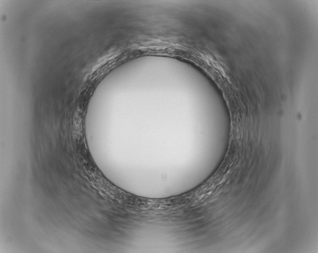 X0000086981350200704161117