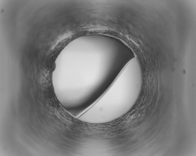 X0000086981351200704161117
