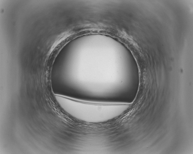 X0000086981352200704161117