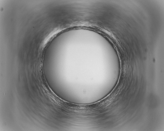 X0000086981359200704161117