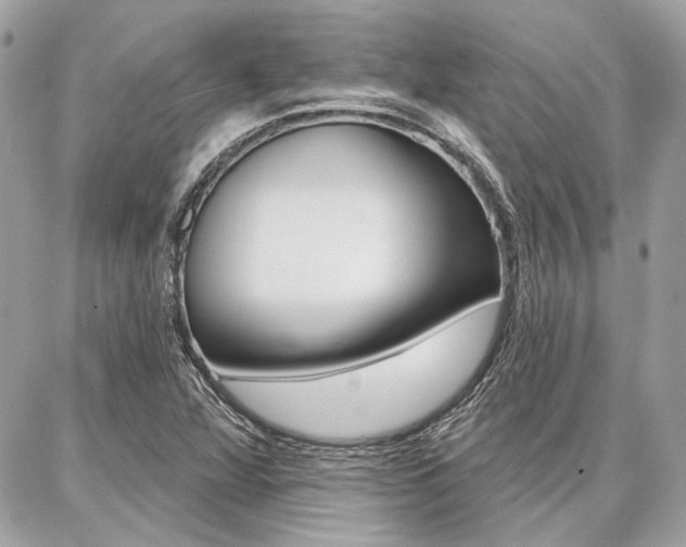 X0000086981360200704161117